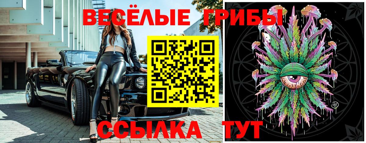 Галлюциногенные грибы прущие грибы Феодосия