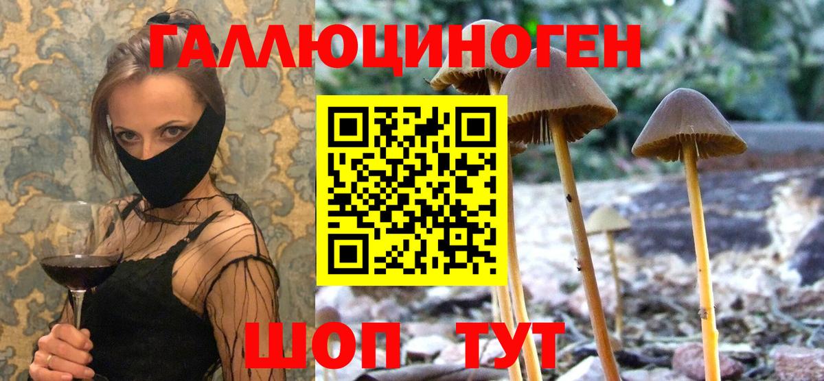 Феодосия  Галлюциногенные грибы Psilocybine cubensis  Вход с VPN 